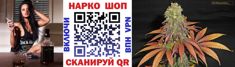 Где можно купить наркотики Шенкурск Гашиш  Канабис  A-PVP  МЕФ 