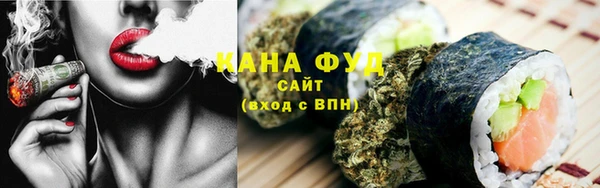 индика Богородск