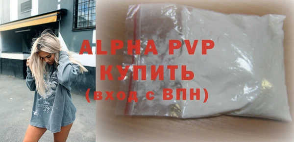 гашик Богданович