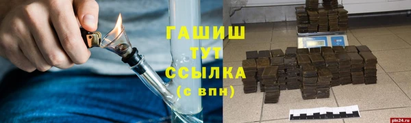 индика Богородск