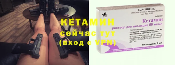 индика Богородск