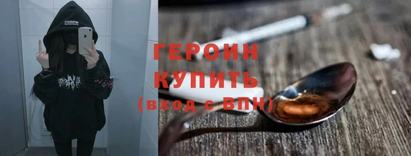 индика Богородск