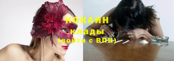гашик Богданович