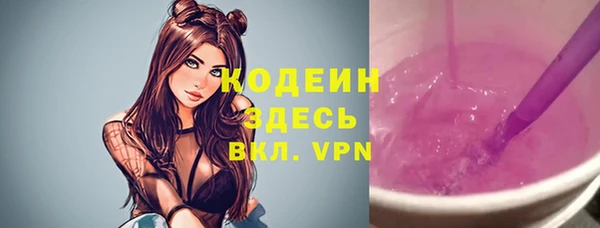 индика Богородск