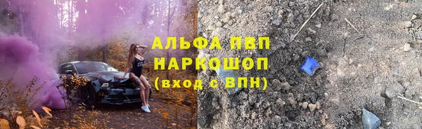 индика Богородск