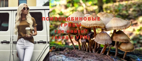 гашик Богданович