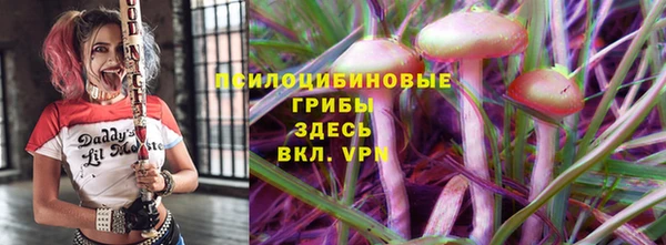 стаф Богородицк