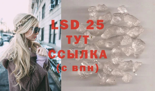 стаф Богородицк