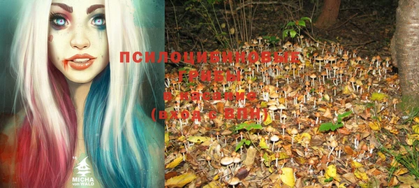 индика Богородск
