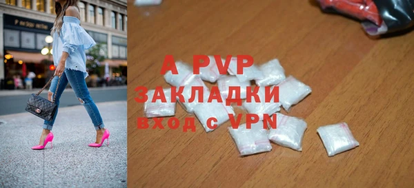 индика Богородск