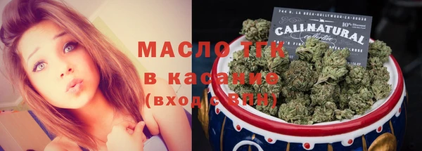 гашик Богданович