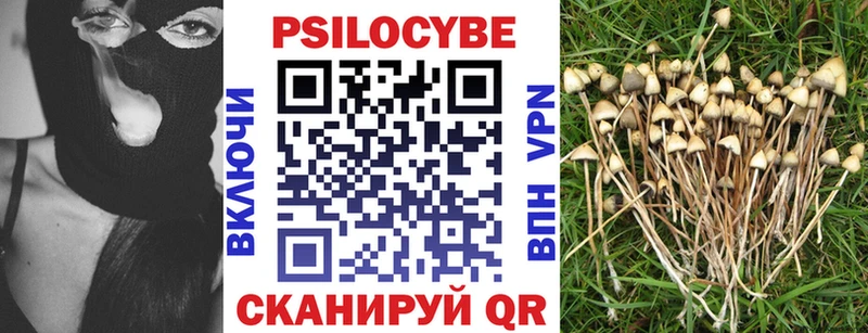 Псилоцибиновые грибы Cubensis  где купить наркотик  Шенкурск 
