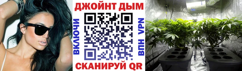 закладка  Шенкурск  МАРИХУАНА тримм 